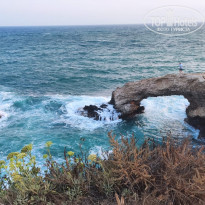 фото из отзыва ID 2262322