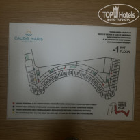 фото из отзыва ID 2262343