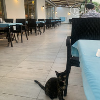 фото из отзыва ID 2262343