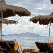 фото из отзыва ID 2262373