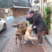 фото из отзыва ID 2262376