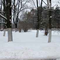 фото из отзыва ID 2262546