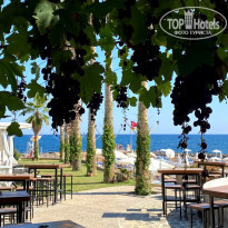 фото из отзыва ID 2262626