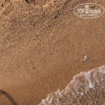 фото из отзыва ID 2262642