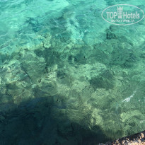 фото из отзыва ID 2262642