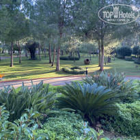 фото из отзыва ID 2262648