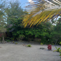 фото из отзыва ID 2262124