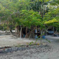 фото из отзыва ID 2262124