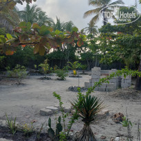 фото из отзыва ID 2262124