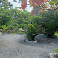 фото из отзыва ID 2262124