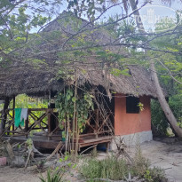 фото из отзыва ID 2262124