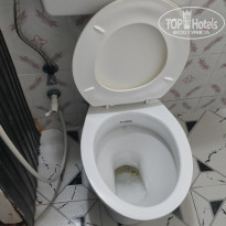 фото из отзыва ID 2262124