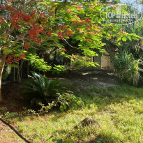 фото из отзыва ID 2262124