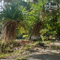 фото из отзыва ID 2262124