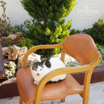 фото из отзыва ID 2262651