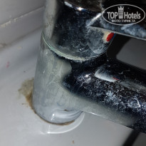 фото из отзыва ID 2262651