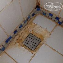 фото из отзыва ID 2262651