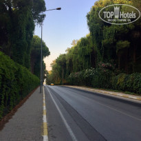 фото из отзыва ID 2262669