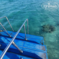 фото из отзыва ID 2262690