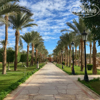 фото из отзыва ID 2262350