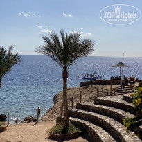 фото из отзыва ID 2262740