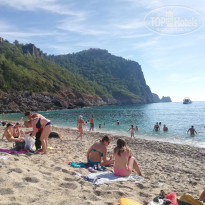 фото из отзыва ID 2262794