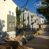 фото из отзыва ID 2262835