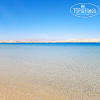 фото из отзыва ID 2262833