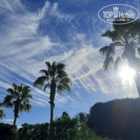 фото из отзыва ID 2262833