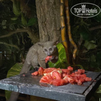 фото из отзыва ID 2262844