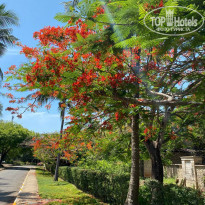 фото из отзыва ID 2262844