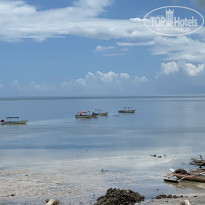 фото из отзыва ID 2262945