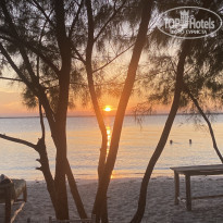 фото из отзыва ID 2262945