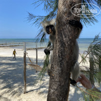 фото из отзыва ID 2262945