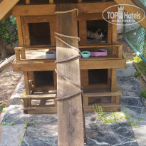 фото из отзыва ID 2262982