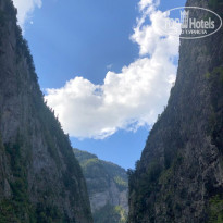 фото из отзыва ID 2263055