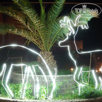 фото из отзыва ID 2263111