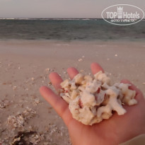 фото из отзыва ID 2263111