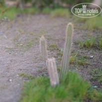 фото из отзыва ID 2263111