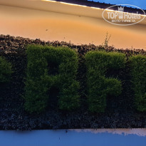 фото из отзыва ID 2263167