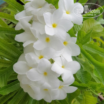 фото из отзыва ID 2263167