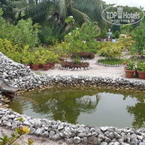 фото из отзыва ID 2263167