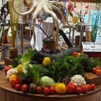 фото из отзыва ID 2263167