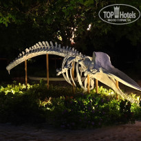 фото из отзыва ID 2263167