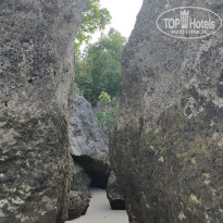 фото из отзыва ID 2262124