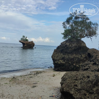 фото из отзыва ID 2262124