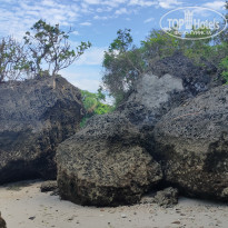 фото из отзыва ID 2262124