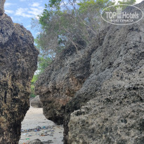 фото из отзыва ID 2262124