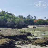 фото из отзыва ID 2262124