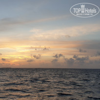 фото из отзыва ID 2263167